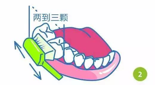 健康口腔保护牙齿,健康口腔龋齿