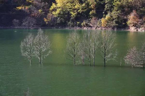 宝鸡人，你凭什么纵横中国？