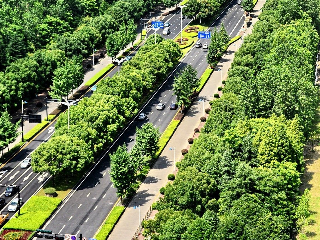 g20峰会滨江高楼,g20峰会的杭州风景