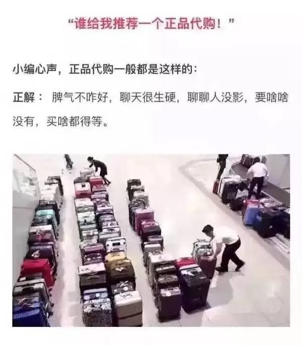 我这么有本事，还不许脾气大了？