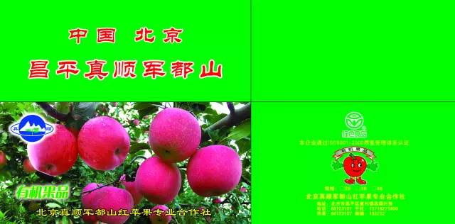 昌平区农业示范园采摘苹果,北京昌平苹果最佳采摘期