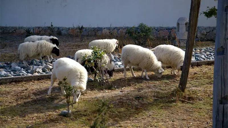 值得去的悦榕庄,中国最适合度假的悦榕庄