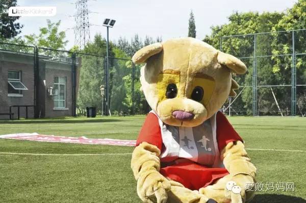 运动fun爱败妈妈宝贝运动季-亲子足球-活动回顾！