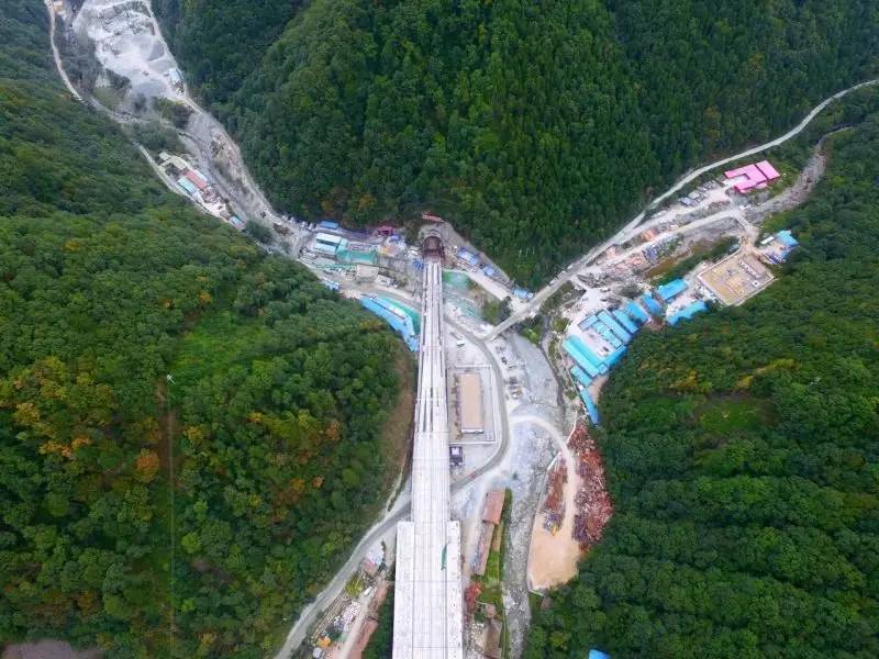 郑徐高铁刚通车！从现在起，咱西安人民还可以憧憬未来的周末成都两日慢生活啦！