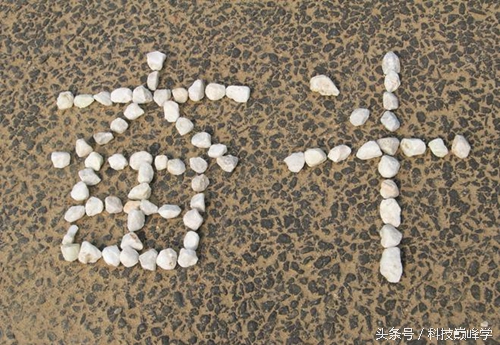 网络创业老鸟,老鸟创业新模式