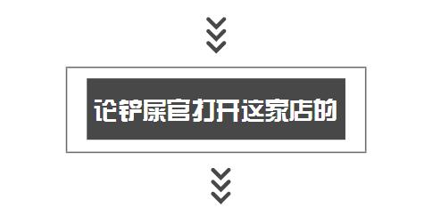 一千平室外宠物乐园,拥有数百只流浪猫的猫咪公园