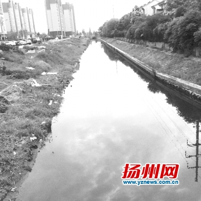 扬州水务投资集团公司董事长,河道治理成功案例