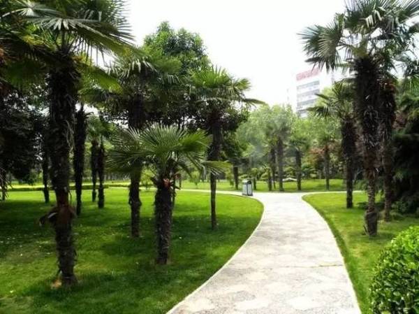 夜跑打卡深秋的夜晚,爱上夜跑2015秋冬