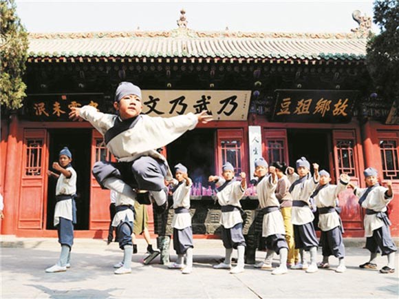 河南的拳种有哪些,河南三大拳