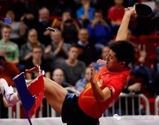 怎样嫁给张继科,怎样才能和张继科谈恋爱