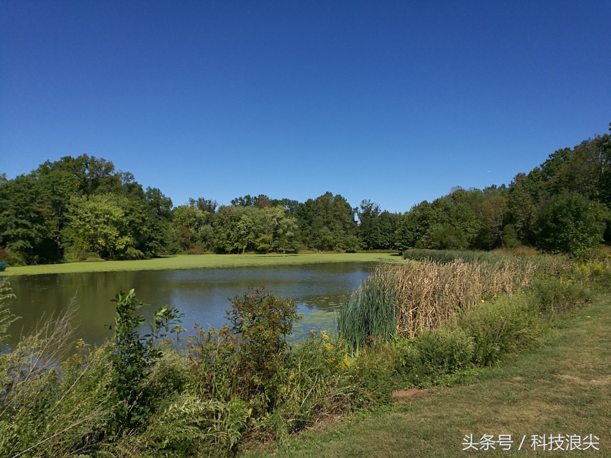 荣耀8测评王者荣耀,荣耀八测评