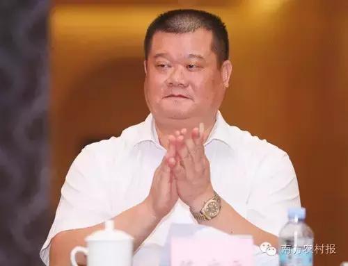 广东县域电商,广东省电商发展好的地方