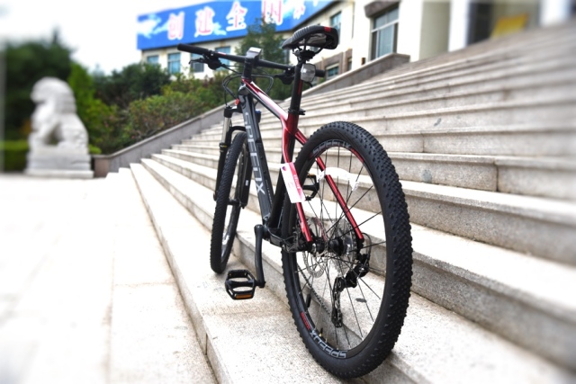 speedx自行车黄色,speedx碳纤维山地车