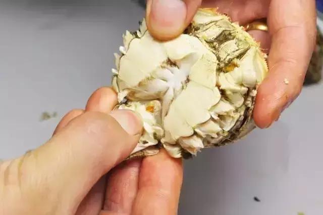 大闸蟹知识教程,大闸蟹基础知识培训