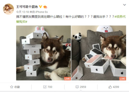 iphone7什么时候开始抢购,iphone7为什么下跌