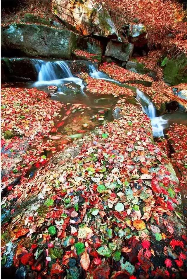 娼烘胶婧按缇庢櫙,娼烘胶娴佹按楦熻鑺遍灞辨竻姘寸