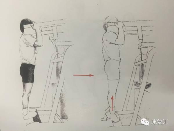 前交叉韧带重建术后还能打球吗,前交叉韧带重建术后康复训练pdf