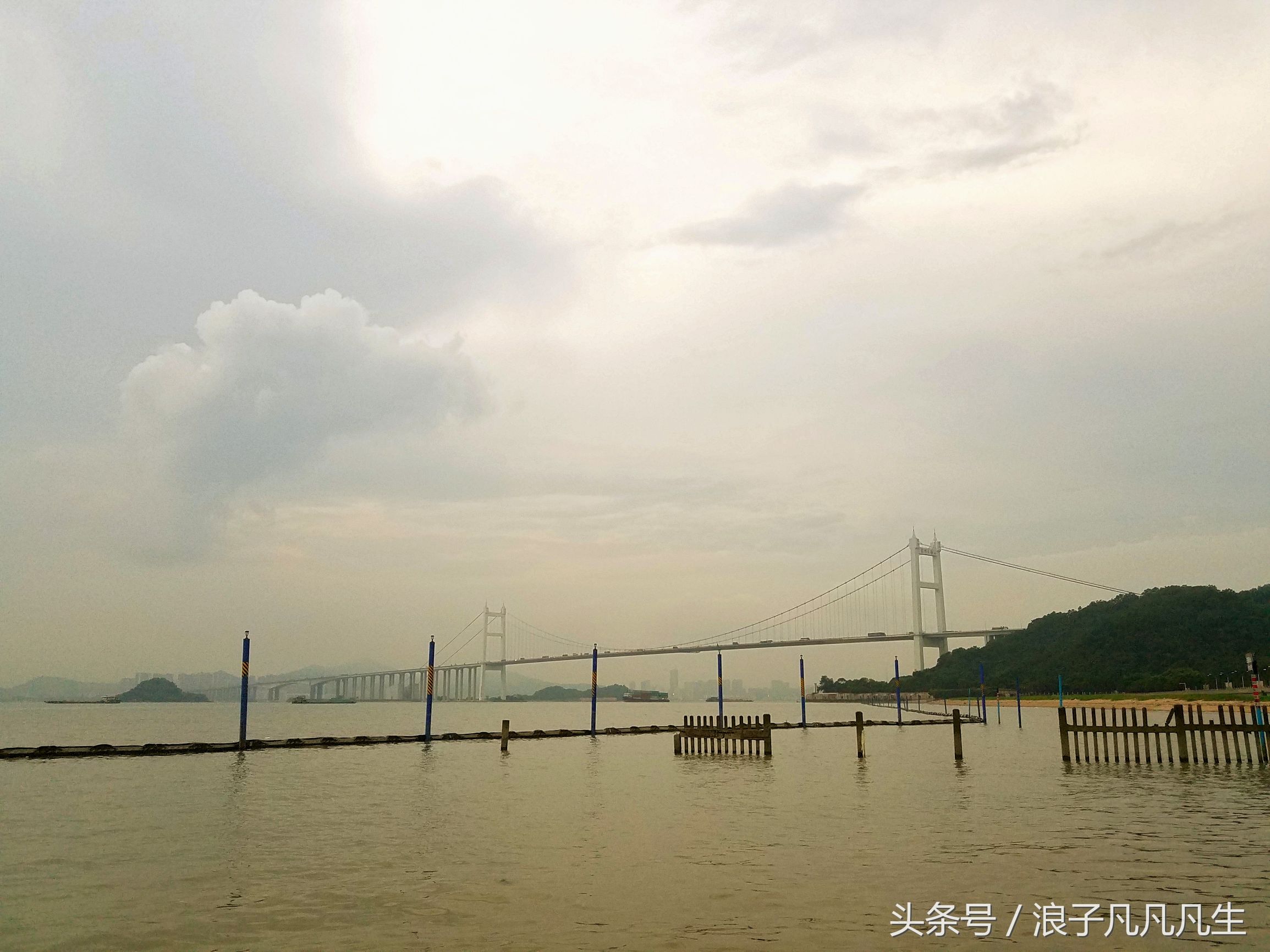 虎门镇是中国最强镇吗,全国最强镇虎门