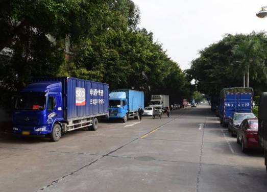 番禺|这天，我在南浦桥底偷摘了一朵花，为祖国母上庆生