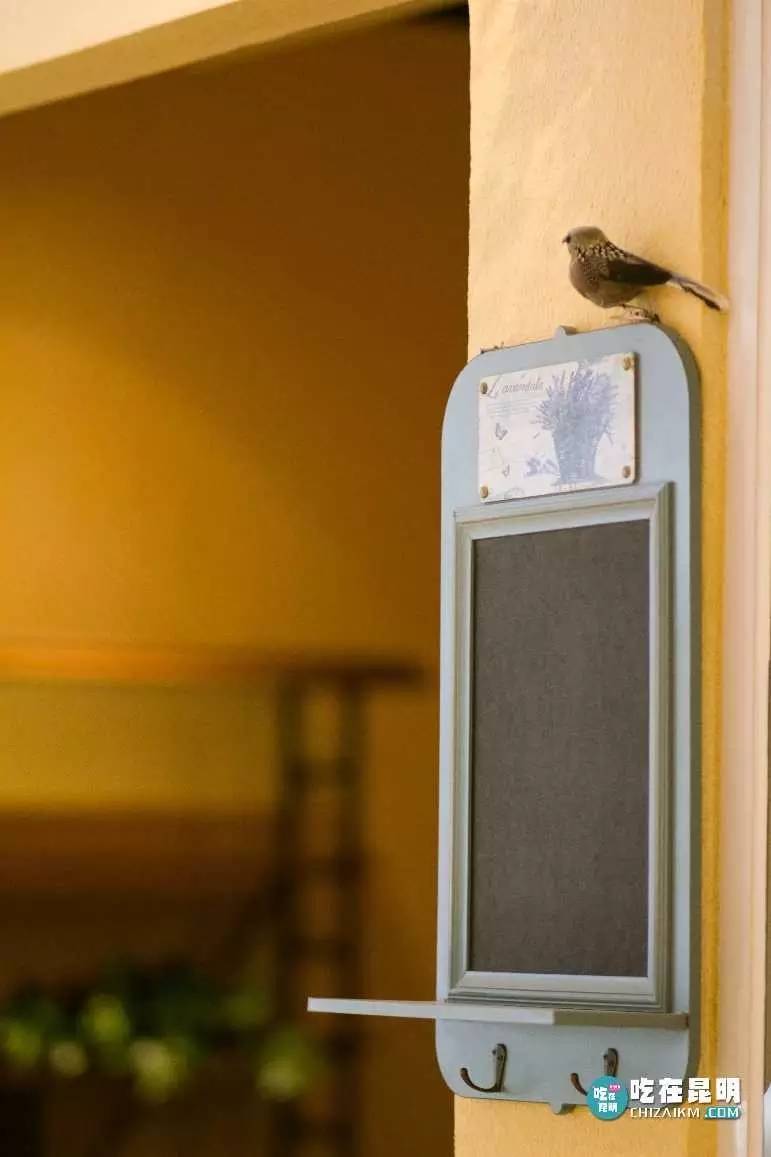 正宗的耗儿鱼火锅,成都排名第一耗儿鱼火锅