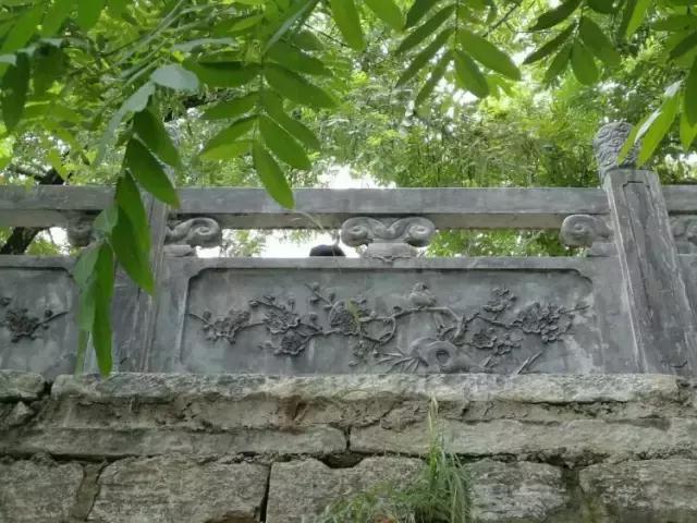 树驮桥的故事,树驮桥视频