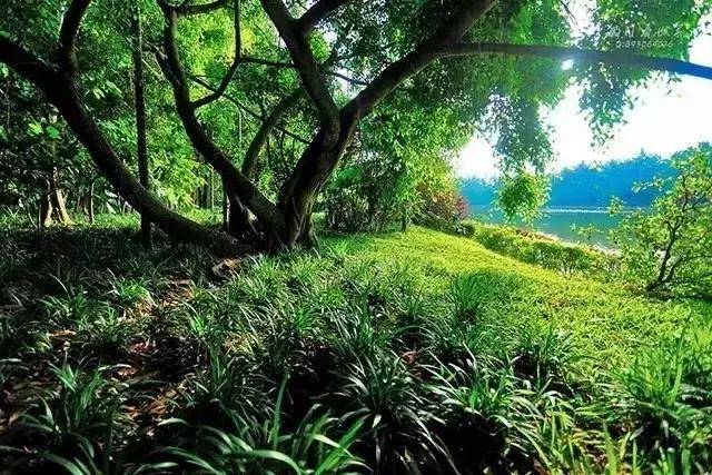 海南万宁国庆旅游攻略,万宁十大旅游必买品