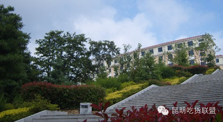 昆明大板桥农家乐的好去处,昆明农家乐烧烤游玩