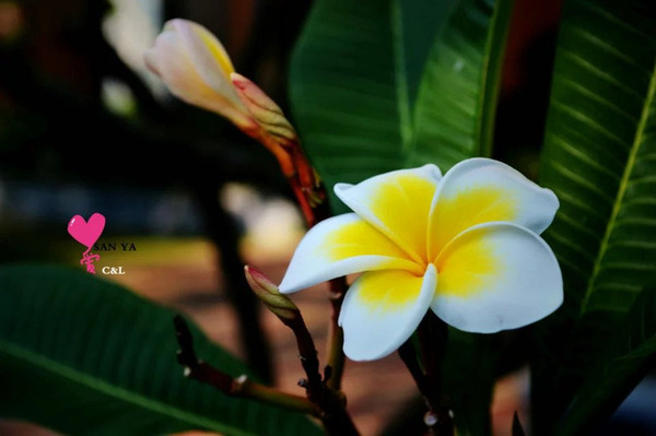 带着婚纱旅行攻略,带着婚纱去旅行拍照