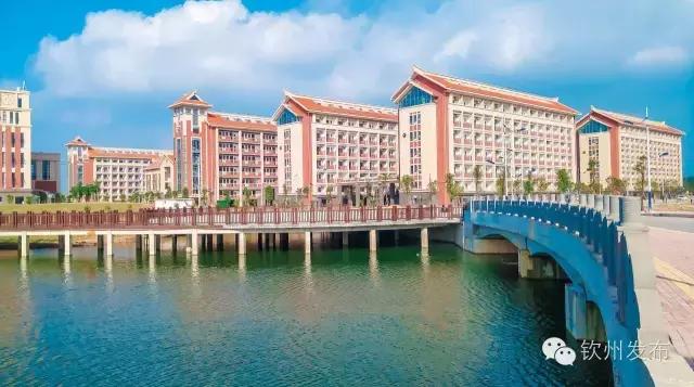 钦州市党代会报告,钦州市召开第六次党代会