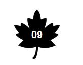 欢乐颂安迪是如何成为女强人的 (欢乐颂2安迪被撩)