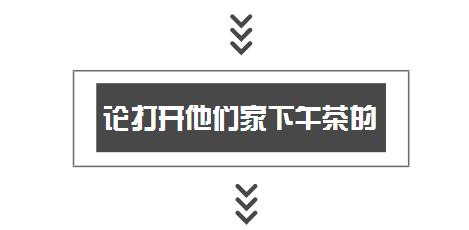 一千平室外宠物乐园,拥有数百只流浪猫的猫咪公园