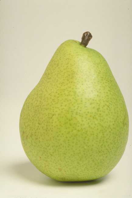 咳嗽的小秘方,中老年咳嗽小秘方