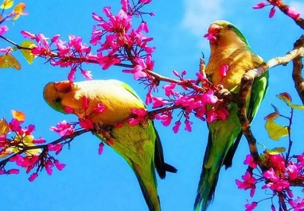 浓浓的姐妹亲情感悟,感悟亲情共度中秋