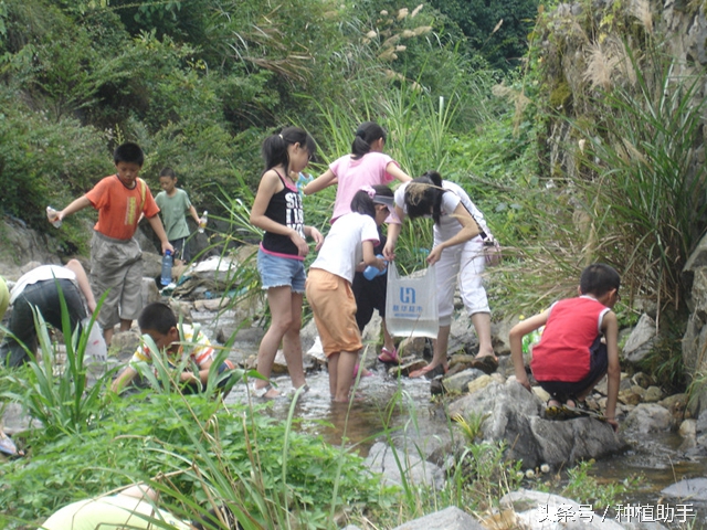 小时候捉鱼的正确方法,在农村捉鱼