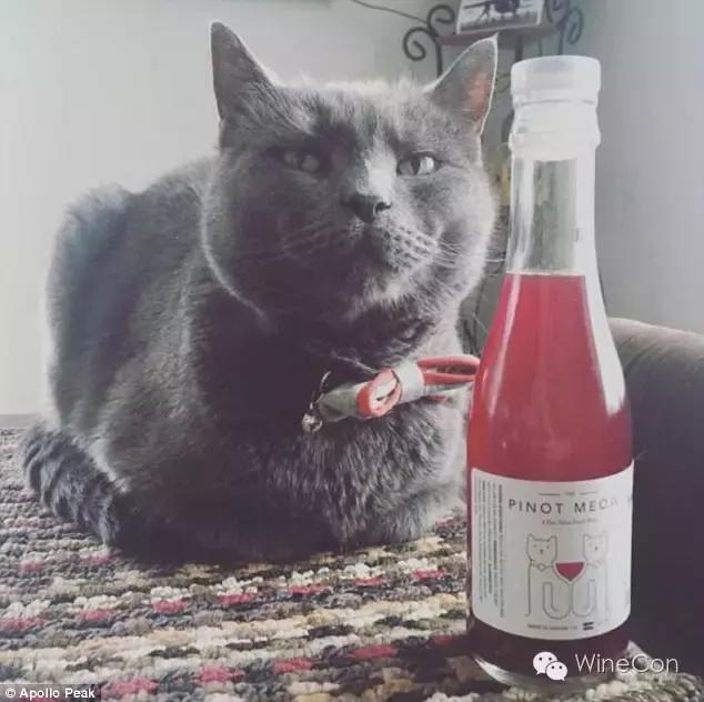 猫咪甜白葡萄酒,猫咪的葡萄酒