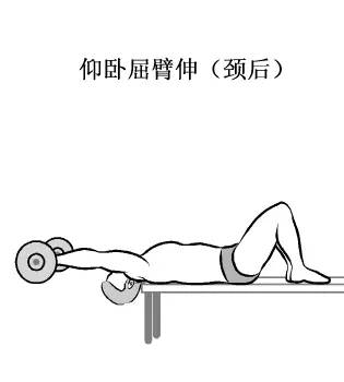 在家用哑铃锻炼背详细教学,瘦子在家哑铃锻炼全身肌肉