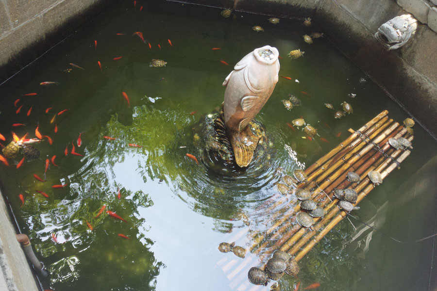 一拍照就好看的美图软件,自拍神器拍风景效果图