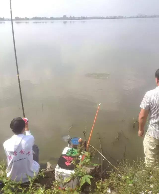 娓旇幏鎴樻姤,澶滈挀娓旇幏鎴樻姤