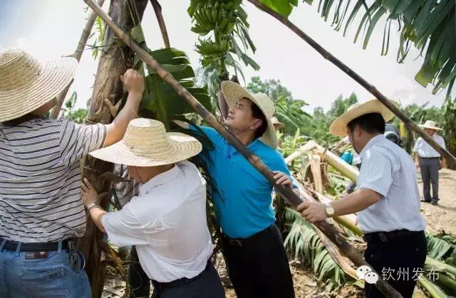 钦州市党代会报告,钦州市召开第六次党代会