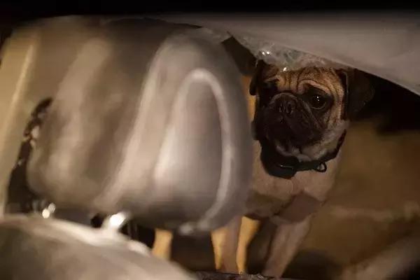 中韩足球差距,中韩足球和国足的区别