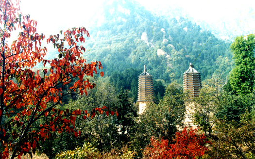 国庆带狗狗适合去哪玩,国庆狗狗出去浪