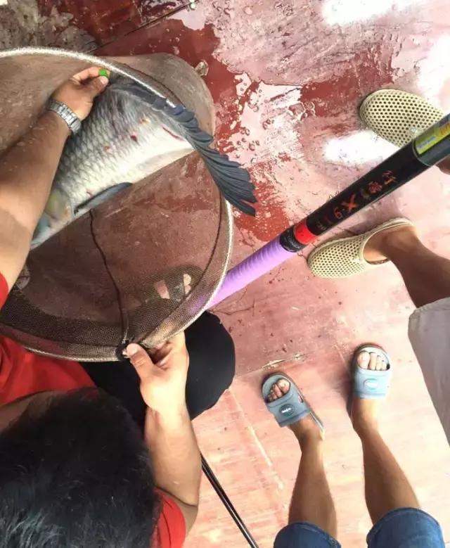 娓旇幏鎴樻姤,澶滈挀娓旇幏鎴樻姤