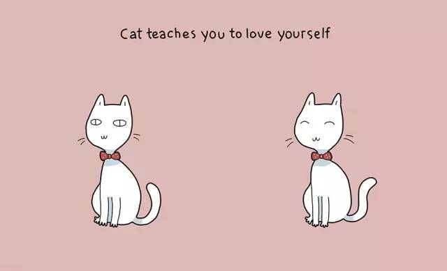 从把它带回家的那一刻起，相信你的生活就已经变了​