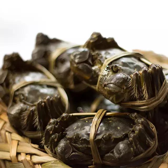 阳澄湖大闸蟹的未解之谜,阳澄湖大闸蟹怎么保证不死