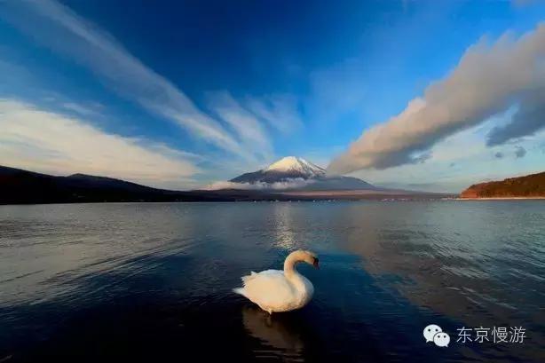 日本签证办理条件自由职业,日本留学签证下来了就得去日本吗