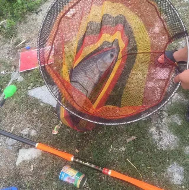 娓旇幏鎴樻姤,澶滈挀娓旇幏鎴樻姤