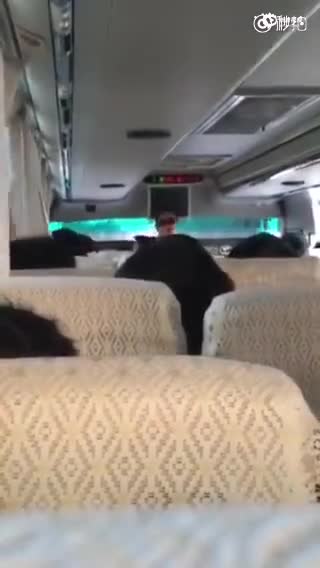 中国游客泰国遭欺诈:说好40元变600元，导游让花钱了事