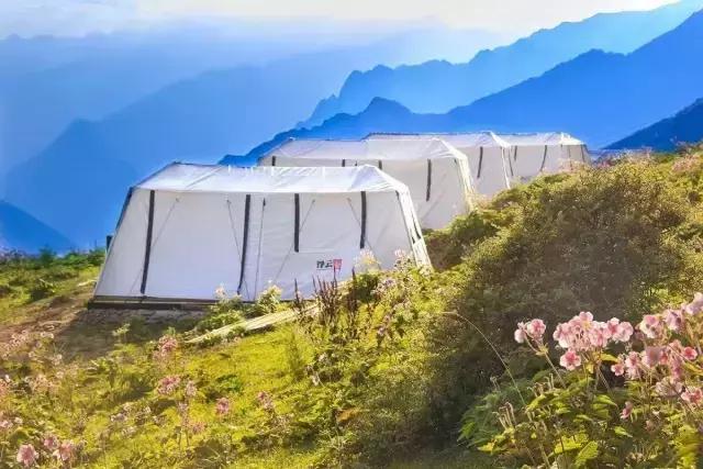 奇葩牧场|不养牛不养羊,居然养这个?