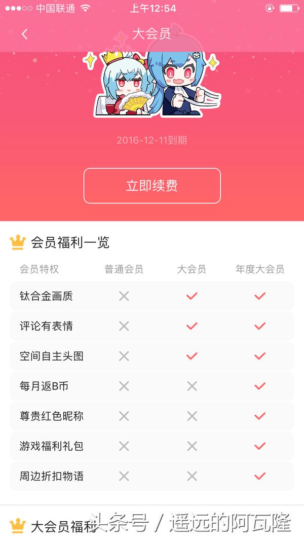 远坂点评：从Bilibili开通大会员服务中我们能看到什么？