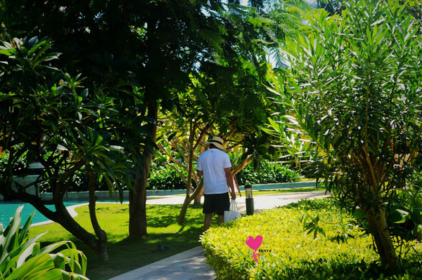 带着婚纱去三亚,带着婚纱旅行厦门